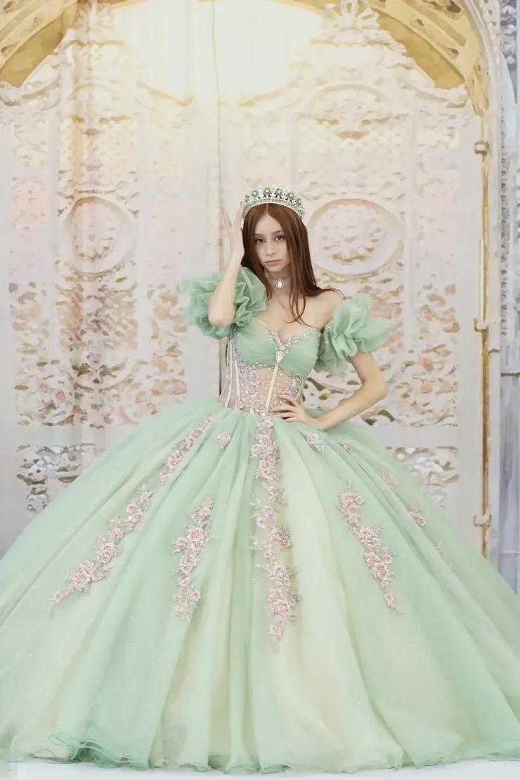 Model wearing a Quinceañera dress Aurora Disney Dress