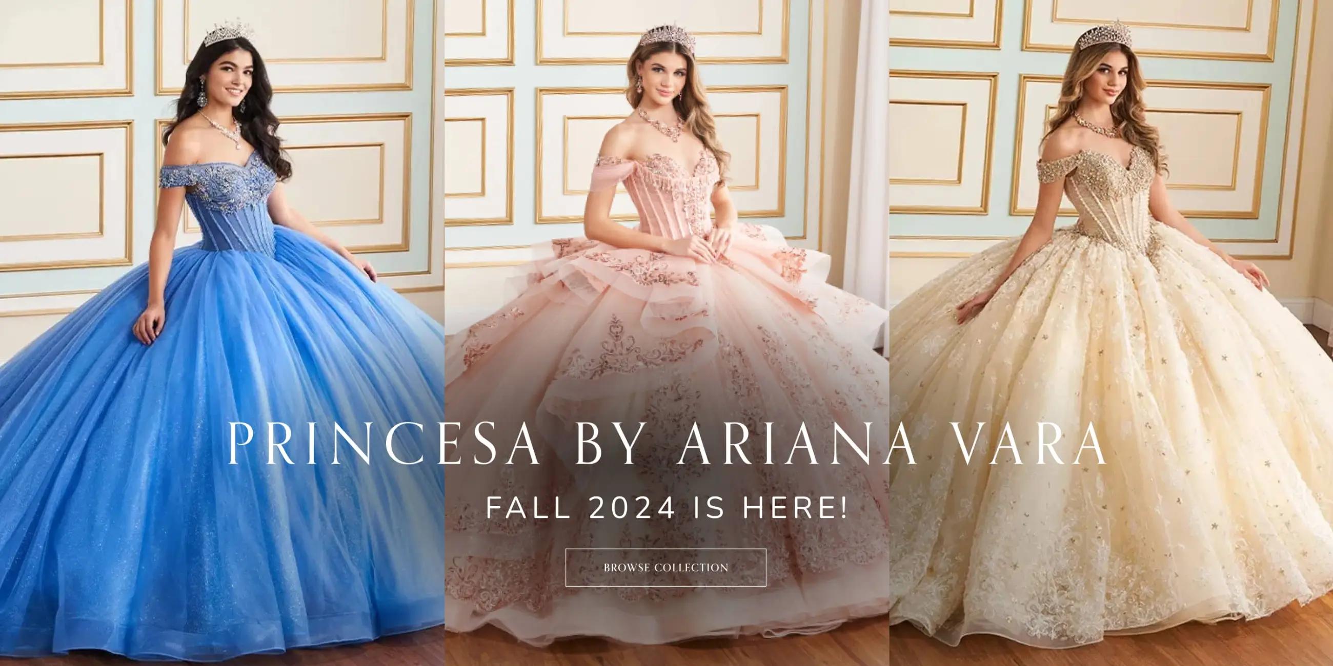 Desktop Princesa by Ariana Vara Banner